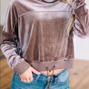 Cute Cropped Velvet Top